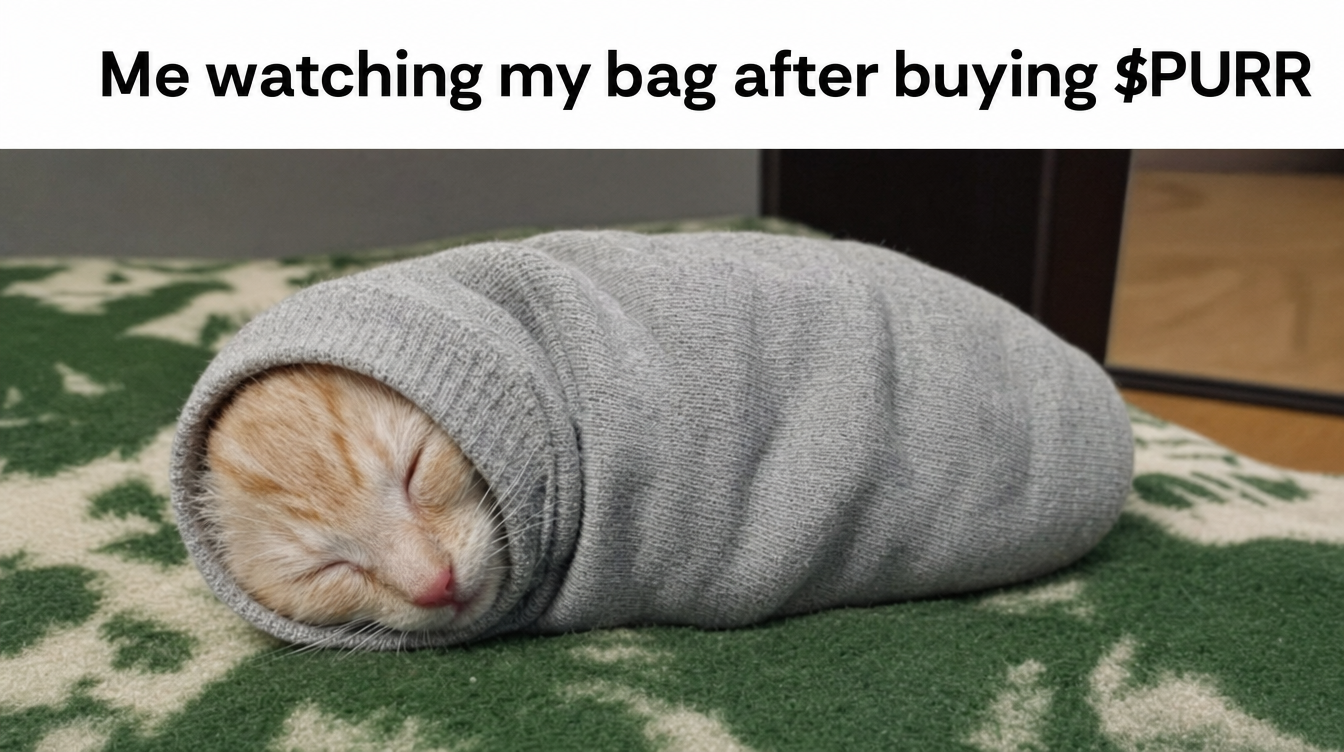 Purrito meme