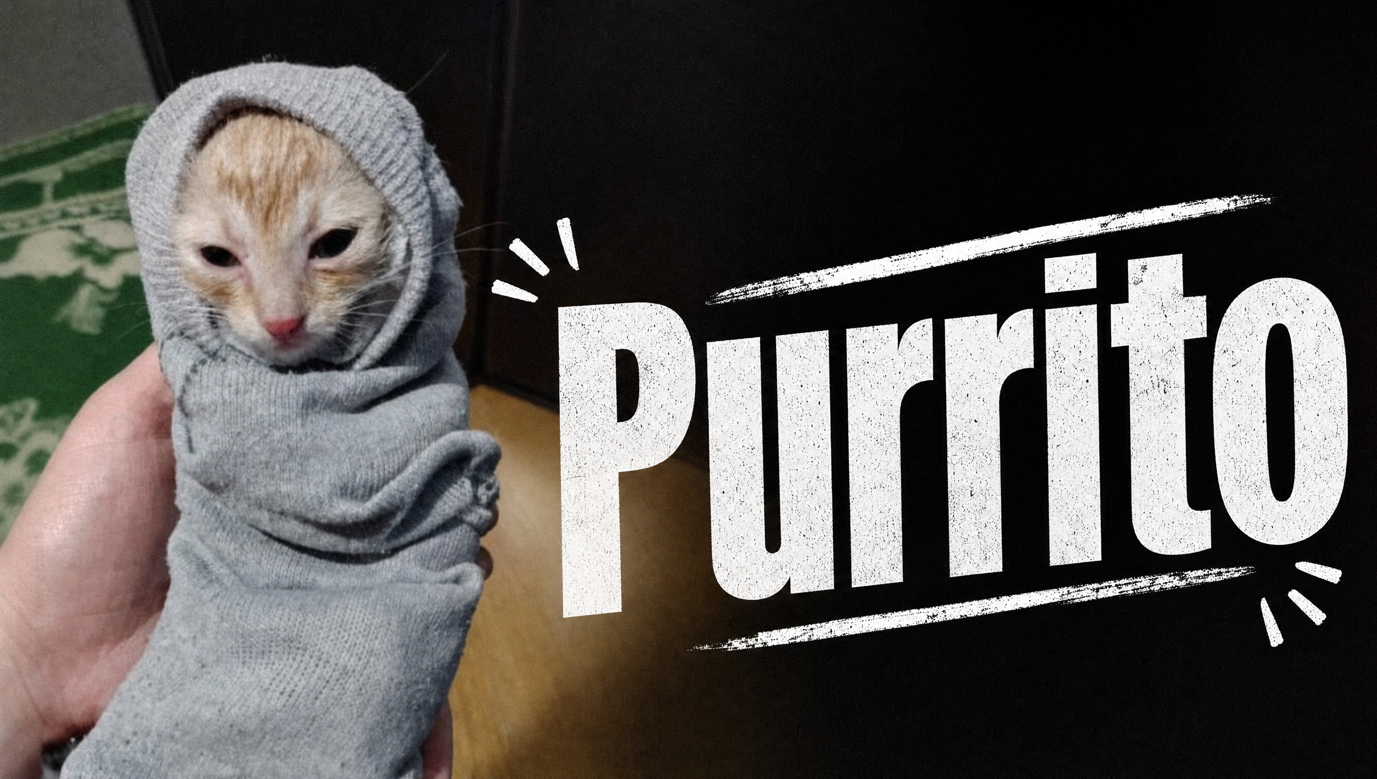 Purrito meme